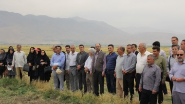 روز مزرعه فرصتی مغتنم برای تبادل دانش و نمایش آخرین دستاوردهای تحقیقاتی در حوزه کشاورزی