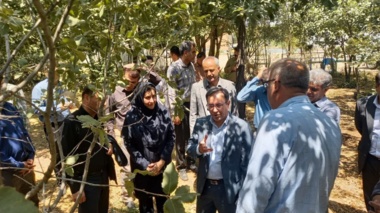 باغ گیاه شناسی زاگرس زیربنای حفاظت از سرمایه های سبز لرستان