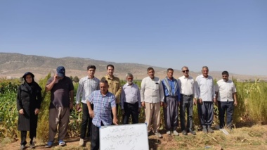 برگزاری دوره‌ آموزشی با موضوع مدیریت عوامل خسارتزای محصولات جالیزی