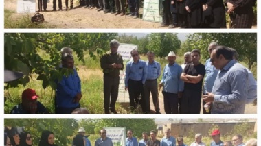 گردهمایی استانی تیم یاوران تولید برای مقابله با آفت زنجره مو در لرستان برگزار شد