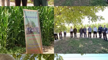 تلاش علمی و جهادی برای عبور از بحران خشکسالی