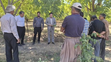 برگزاری رویداد ترویجی(( مدیریت عوامل خسارتزای درختان میوه سردسیری ))