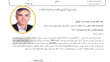 معرفی رقم جدید لوبیا قرمز "صبا"