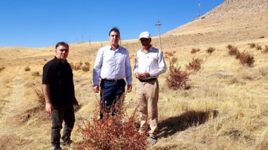 آموزش و تحقیق در ایستگاه زاغه، موتور محرک تولید دانش‌بنیان در کشاورزی دیم لرستان