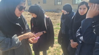 کاشت زعفران و اسطوخودوس توسط دانش‌آموزان در پردیس الیگودرز