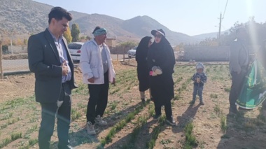 ارتقای دانش کشاورزان سلسله‌ای با برگزاری دوره آموزشی «آشنایی با آفات و بیماری‌های زعفران»