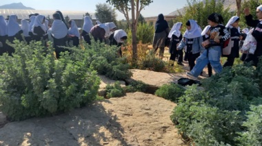 بازدید دانش‌آموزان از باغ گیاهشناسی زاگرس خرم‌آباد