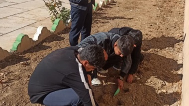 آماده سازی و کاشت پیاز سیر توسط هنرجویان پایه دهم و یازدهم با هدایت مربیان