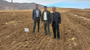 بازدید مدیریتی از طرح نوین PNT؛ گامی تازه در ارتقای عملکرد گندم دیم لرستان