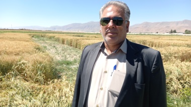 تحقیقات کشاورزی موتور محرک نوآوری و پایداری تولید در بخش کشاورزی است