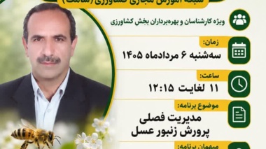 مدیریت فصلی پرورش زنبور عسل در برنامه زنده «استودیو کشاورز» شبکه شامک تدریس شد